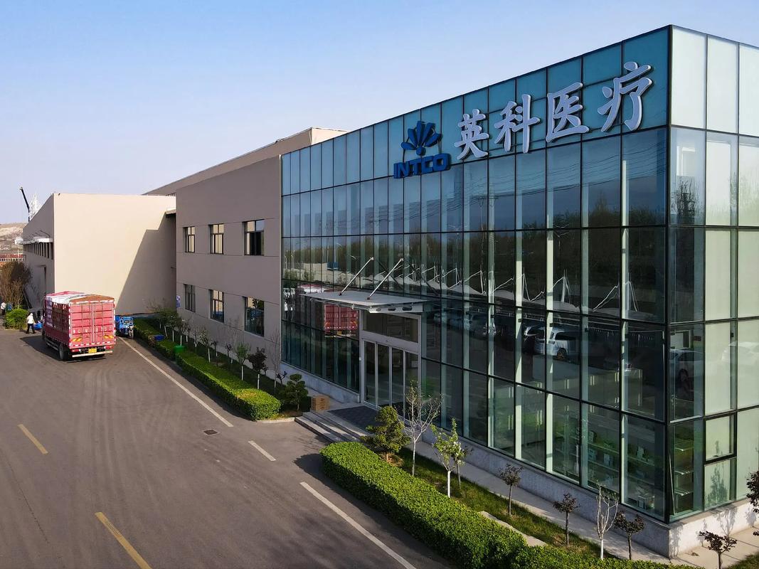 江苏英科医疗安装美高电动提升门插图1 江苏英科医疗安装美高电动提升门插图1